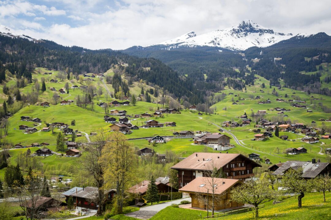 Szwajcaria, widok na dolinę i Alpy