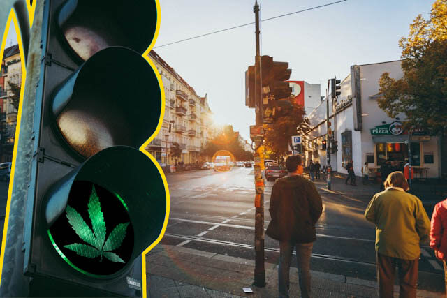 Legalizacja marihuany w Niemczech - Liść marihuany na światłach drogowych